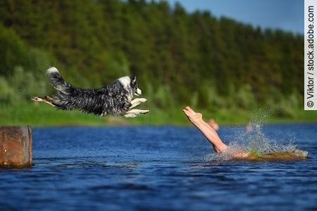 The girl and dog jump together to the water