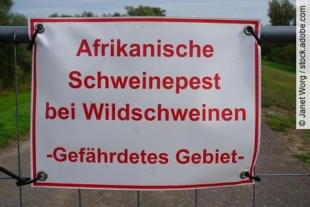 Warnschild Afrikanische Schweinepest bei Wildschweinen - gefÃ€hr
