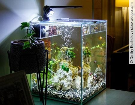 Aquarium with fish on a table. Nano Aquarium in the home interio