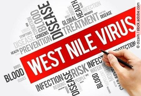 West Nile Virus word cloud collage