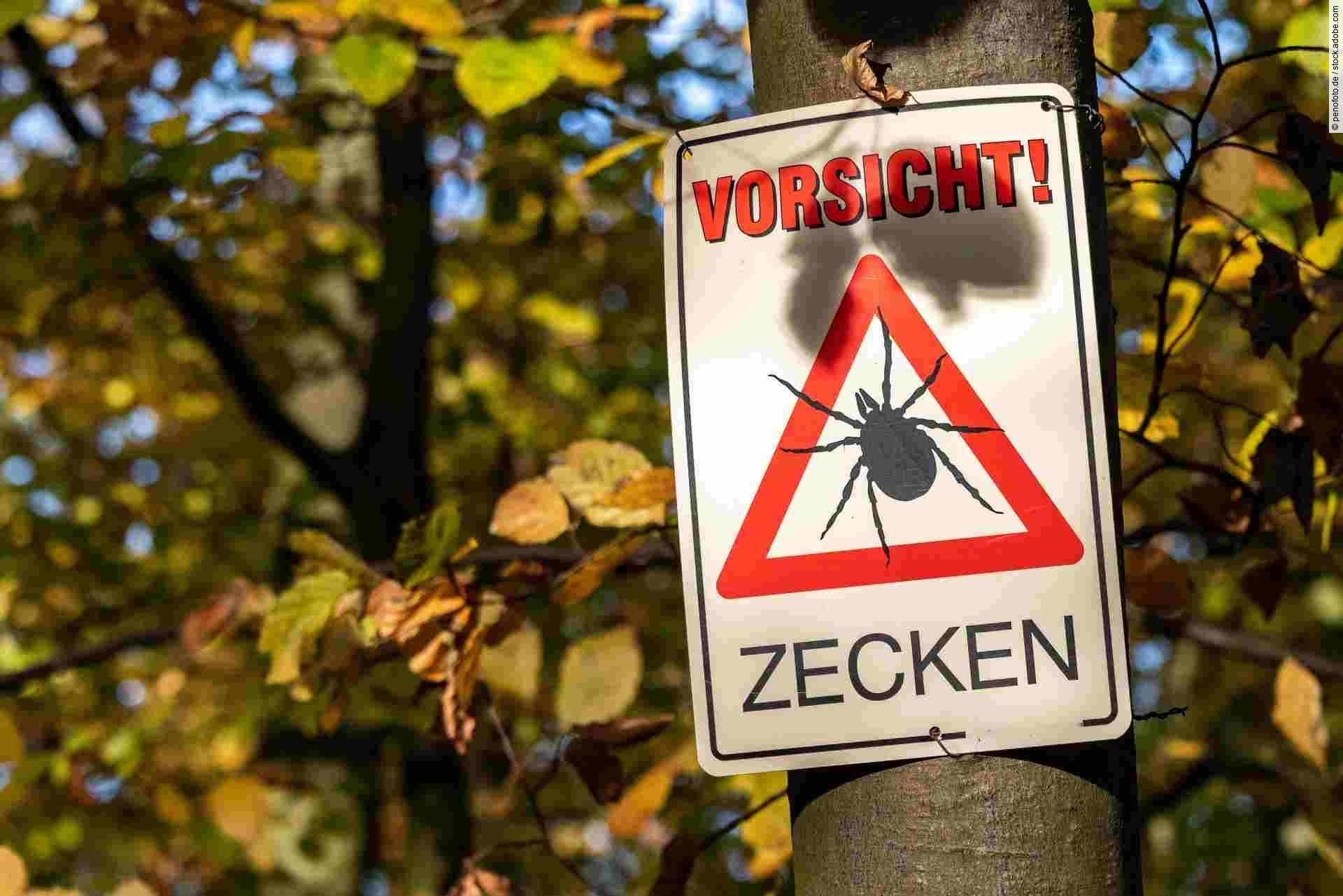 Warnung vor Zecken im Wald