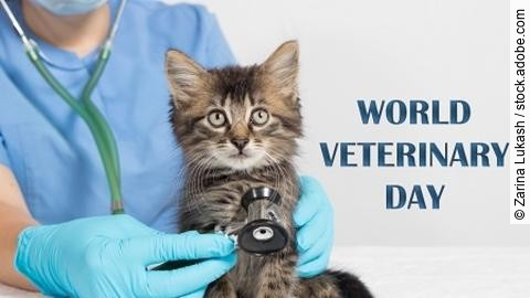 World Veterinary Day card with the inscription. The veterinarian