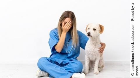 Young veterinarian woman with dog sitting on the floor with tire