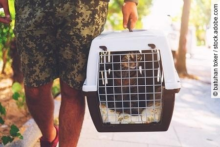 Man with domestic cat in a pet carrier traveling on the street