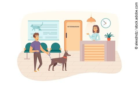Veterinary clinic scene. Man with dog visits vet, waiting for do