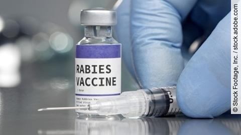Rabies vaccine vial in medical lab with syringe