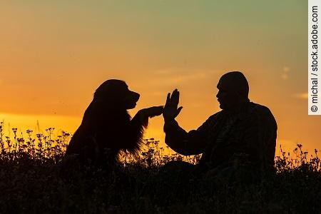 silhouette of a man and a dog, he slapped the owner's hand with 